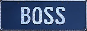 BOSS (silver sparkly)