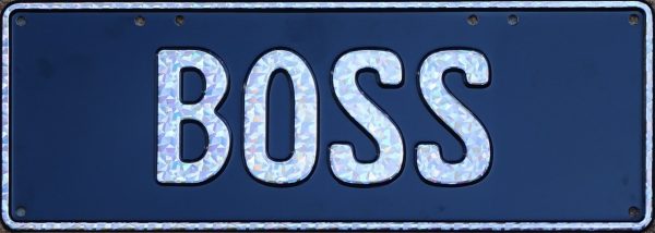 BOSS (silver sparkly)