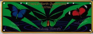 TROPICAL NORTH QUEENSLAND